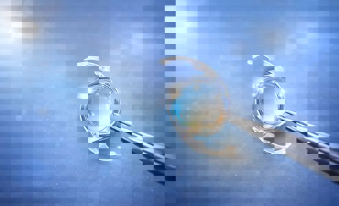 Whatsapp Image 2026 03 11 At 10.13.45